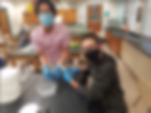 terrapin data collection